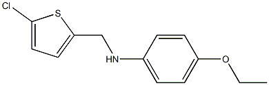 N-[(5-chlorothiophen-2-yl)methyl]-4-ethoxyaniline 结构式