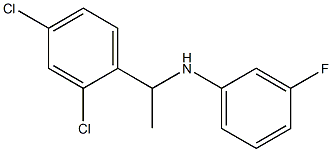 N-[1-(2,4-dichlorophenyl)ethyl]-3-fluoroaniline 结构式