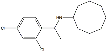 N-[1-(2,4-dichlorophenyl)ethyl]cyclooctanamine 结构式