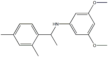 N-[1-(2,4-dimethylphenyl)ethyl]-3,5-dimethoxyaniline 结构式