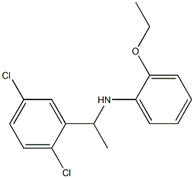 N-[1-(2,5-dichlorophenyl)ethyl]-2-ethoxyaniline 结构式