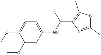 N-[1-(2,5-dimethyl-1,3-thiazol-4-yl)ethyl]-3,4-dimethoxyaniline 结构式