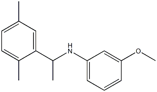 N-[1-(2,5-dimethylphenyl)ethyl]-3-methoxyaniline 结构式