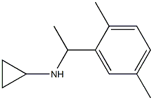 N-[1-(2,5-dimethylphenyl)ethyl]cyclopropanamine 结构式