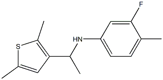 N-[1-(2,5-dimethylthiophen-3-yl)ethyl]-3-fluoro-4-methylaniline 结构式
