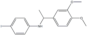 N-[1-(3,4-dimethoxyphenyl)ethyl]-4-iodoaniline 结构式