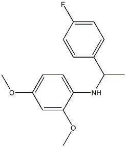 N-[1-(4-fluorophenyl)ethyl]-2,4-dimethoxyaniline 结构式