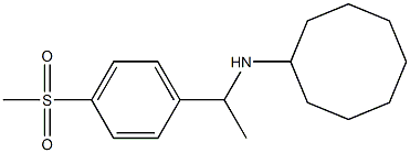 N-[1-(4-methanesulfonylphenyl)ethyl]cyclooctanamine 结构式