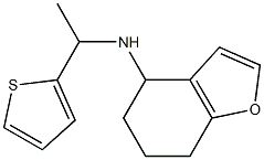 N-[1-(thiophen-2-yl)ethyl]-4,5,6,7-tetrahydro-1-benzofuran-4-amine 结构式