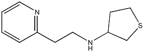 N-[2-(pyridin-2-yl)ethyl]thiolan-3-amine 结构式