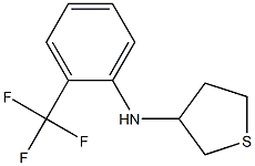 N-[2-(trifluoromethyl)phenyl]thiolan-3-amine 结构式