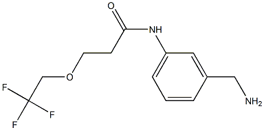 N-[3-(aminomethyl)phenyl]-3-(2,2,2-trifluoroethoxy)propanamide 结构式