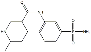 N-[3-(aminosulfonyl)phenyl]-6-methylpiperidine-3-carboxamide 结构式
