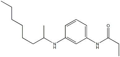 N-[3-(octan-2-ylamino)phenyl]propanamide 结构式