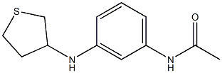 N-[3-(thiolan-3-ylamino)phenyl]acetamide 结构式