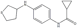 N-[4-(thiolan-3-ylamino)phenyl]cyclopropanecarboxamide 结构式