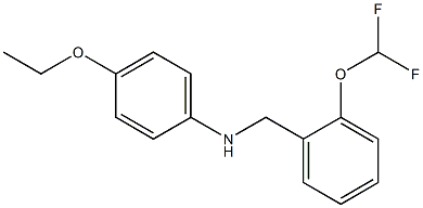 N-{[2-(difluoromethoxy)phenyl]methyl}-4-ethoxyaniline 结构式