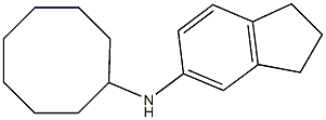 N-cyclooctyl-2,3-dihydro-1H-inden-5-amine 结构式