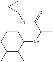 N-cyclopropyl-2-[(2,3-dimethylcyclohexyl)amino]propanamide 结构式