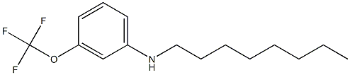 N-octyl-3-(trifluoromethoxy)aniline 结构式