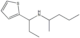 pentan-2-yl[1-(thiophen-2-yl)propyl]amine 结构式