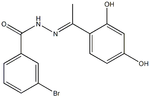 3-bromo-N'-[(E)-1-(2,4-dihydroxyphenyl)ethylidene]benzohydrazide 结构式