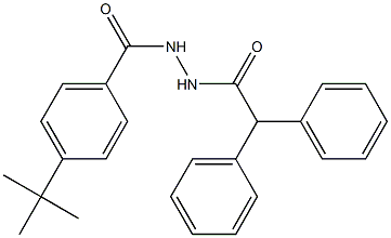 N'-[4-(tert-butyl)benzoyl]-2,2-diphenylacetohydrazide 结构式