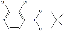 2,3-Dichloro-4-(5,5-dimethyl-1,3,2-dioxaborinan-2-yl)pyridine 结构式