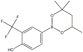 2-(Trifluoromethyl)-4-(4,4,6-trimethyl-1,3,2-dioxaborinan-2-yl)phenol 结构式