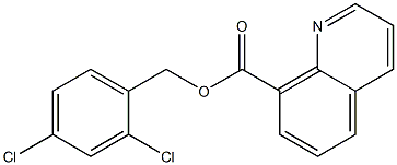 Quinoline-8-carboxylic acid 2,4-dichlorobenzyl ester 结构式