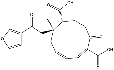 (1E,3Z,6S,7R)-6-[2-Oxo-2-(3-furyl)ethyl]-6-methyl-10-methylene-1,3-cyclodecadiene-1,7-dicarboxylic acid 结构式