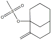 1-(Methanesulfonyloxy)-2-methylenebicyclo[3.3.1]nonane 结构式