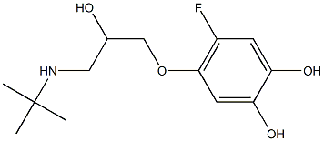 4-(3-tert-Butylamino-2-hydroxypropyloxy)-5-fluorobenzene-1,2-diol 结构式