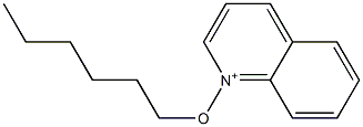 1-Hexyloxyquinolinium 结构式