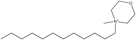 4-Dodecyl-4-methylmorpholinium 结构式