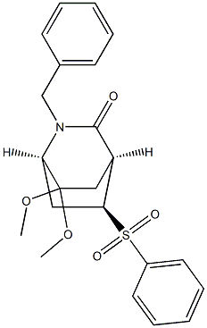 (1R,4S,5S)-2-Benzyl-7,7-dimethoxy-5-(phenylsulfonyl)-2-azabicyclo[2.2.2]octan-3-one 结构式