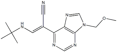 9-(Methoxymethyl)-6-[(Z)-2-(tert-butylamino)-1-cyanoethenyl]-9H-purine 结构式