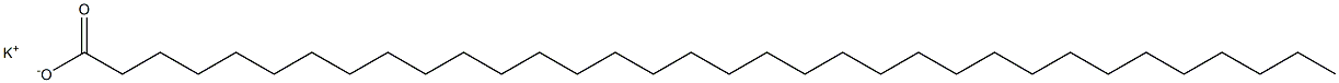 Tetratriacontanoic acid potassium salt 结构式