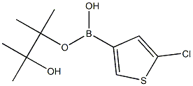 5-氯噻吩-3-硼酸频哪醇酯 结构式