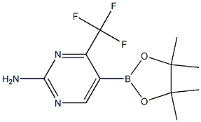 2-氨基-4-三氟甲基嘧啶-5-硼酸频哪醇酯 结构式