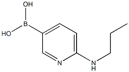 2-丙胺基-5-吡啶硼酸 结构式