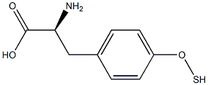 O-卞基-L-酪氨酸 结构式
