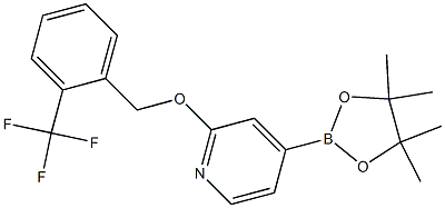 2-(2-(trifluoromethyl)benzyloxy)-4-(4,4,5,5-tetramethyl-1,3,2-dioxaborolan-2-yl)pyridine 结构式