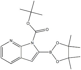 tert-butyl 2-(tetramethyl-1,3,2-dioxaborolan-2-yl)-1H-pyrrolo[2,3-b]pyridine-1-carboxylate 结构式