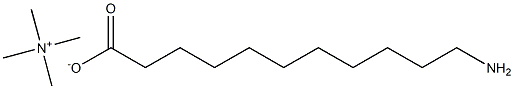 11-AMINOUNDECANOIC ACID TETRAMETHYLAMMONIUM SALT 结构式