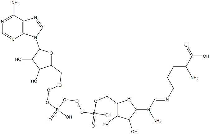 2-amino-5-[amino-[5-[[[[5-(6-aminopurin-9-yl)-3,4-dihydroxy-oxolan-2-yl]methoxy-hydroxy-phosphoryl]oxy-hydroxy-phosphoryl]oxymethyl]-3,4-dihydroxy-oxolan-2-yl]amino-methylidene]amino-pentanoic acid 结构式