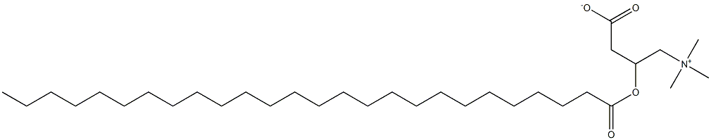 hexacosanoyl carnitine 结构式