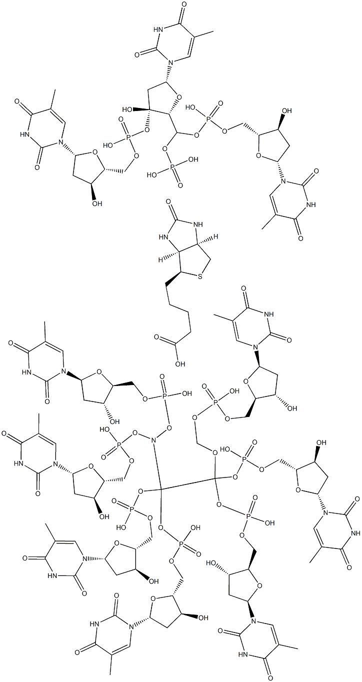 3'-methoxyethylamine-5'-biotin-decathymidylic acid 结构式