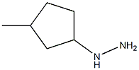 1-(3-methylcyclopentyl)hydrazine 结构式