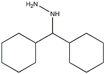1-(dicyclohexylmethyl)hydrazine 结构式